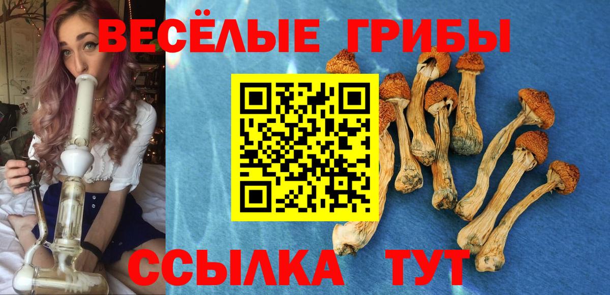 Псилоцибиновые грибы Psilocybe  Галлюциногенные грибы прущие грибы  Хабаровск  Вход с VPN 